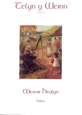 Cover: Telyn y Werin