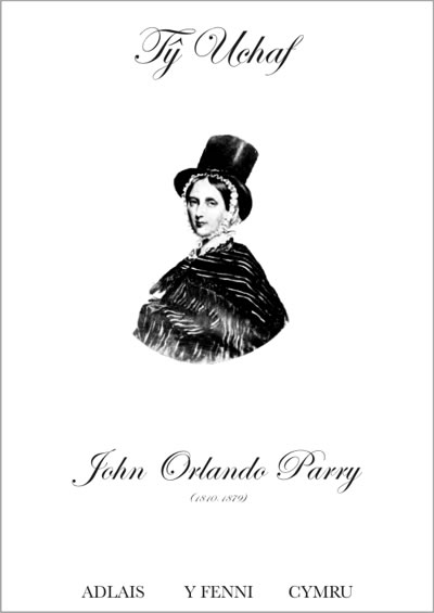 Cover of Telyn Llanofer